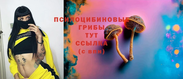 2c-b Горняк