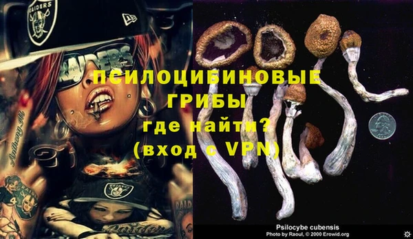 амф Белокуриха