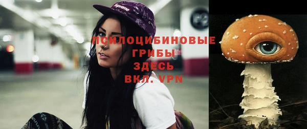 MESCALINE Горно-Алтайск