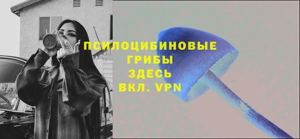амф Белокуриха
