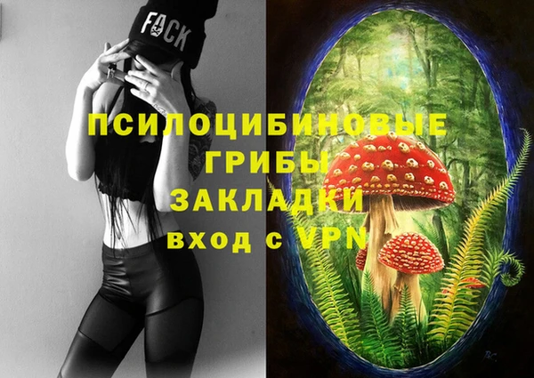 apvp Беломорск