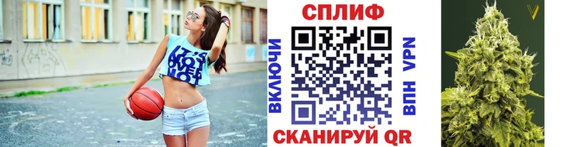 Канабис план  хочу   Кедровый 